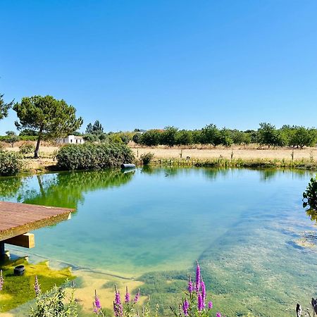 Glamping On Organic Yoga Farm With Natural Swimming Pool Near Beach モンカラパッショ エクステリア 写真