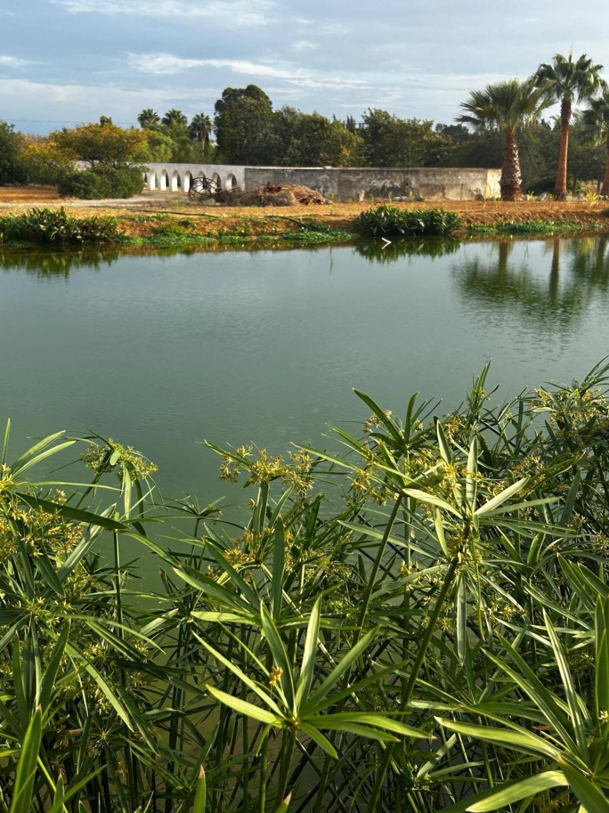 Glamping On Organic Yoga Farm With Natural Swimming Pool Near Beach モンカラパッショ エクステリア 写真