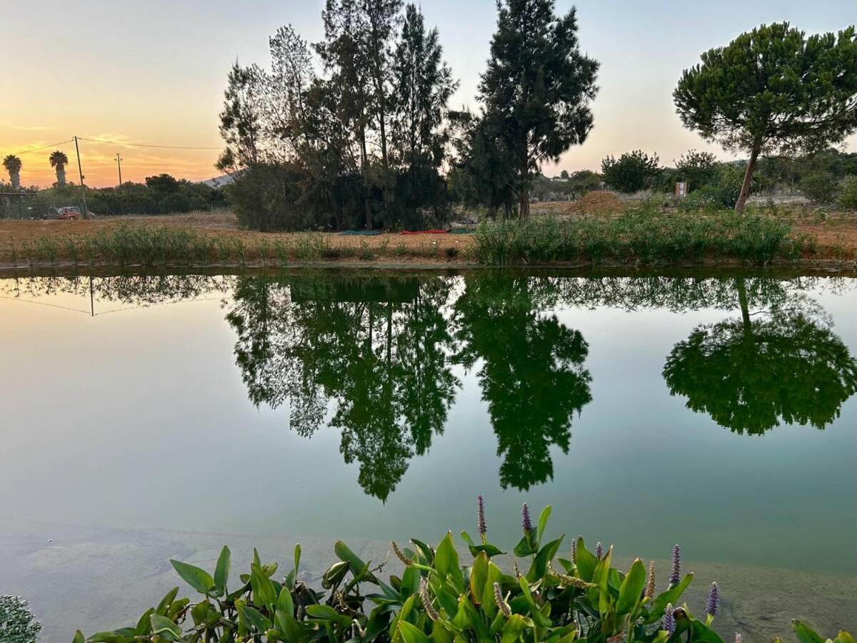 Glamping On Organic Yoga Farm With Natural Swimming Pool Near Beach モンカラパッショ エクステリア 写真