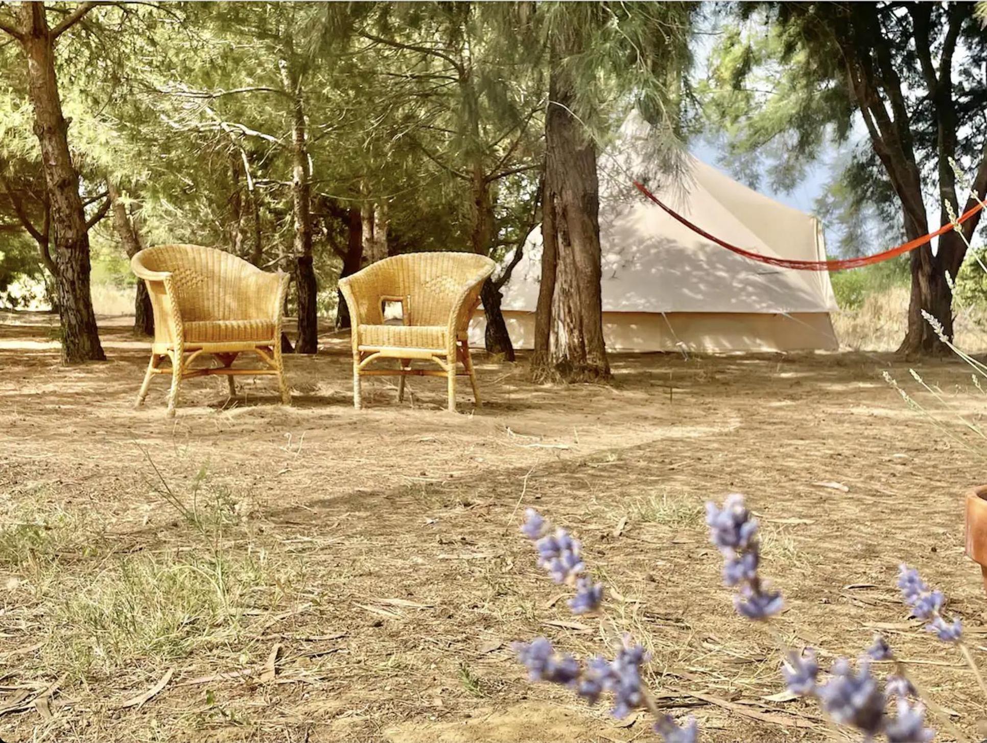 Glamping On Organic Yoga Farm With Natural Swimming Pool Near Beach モンカラパッショ エクステリア 写真