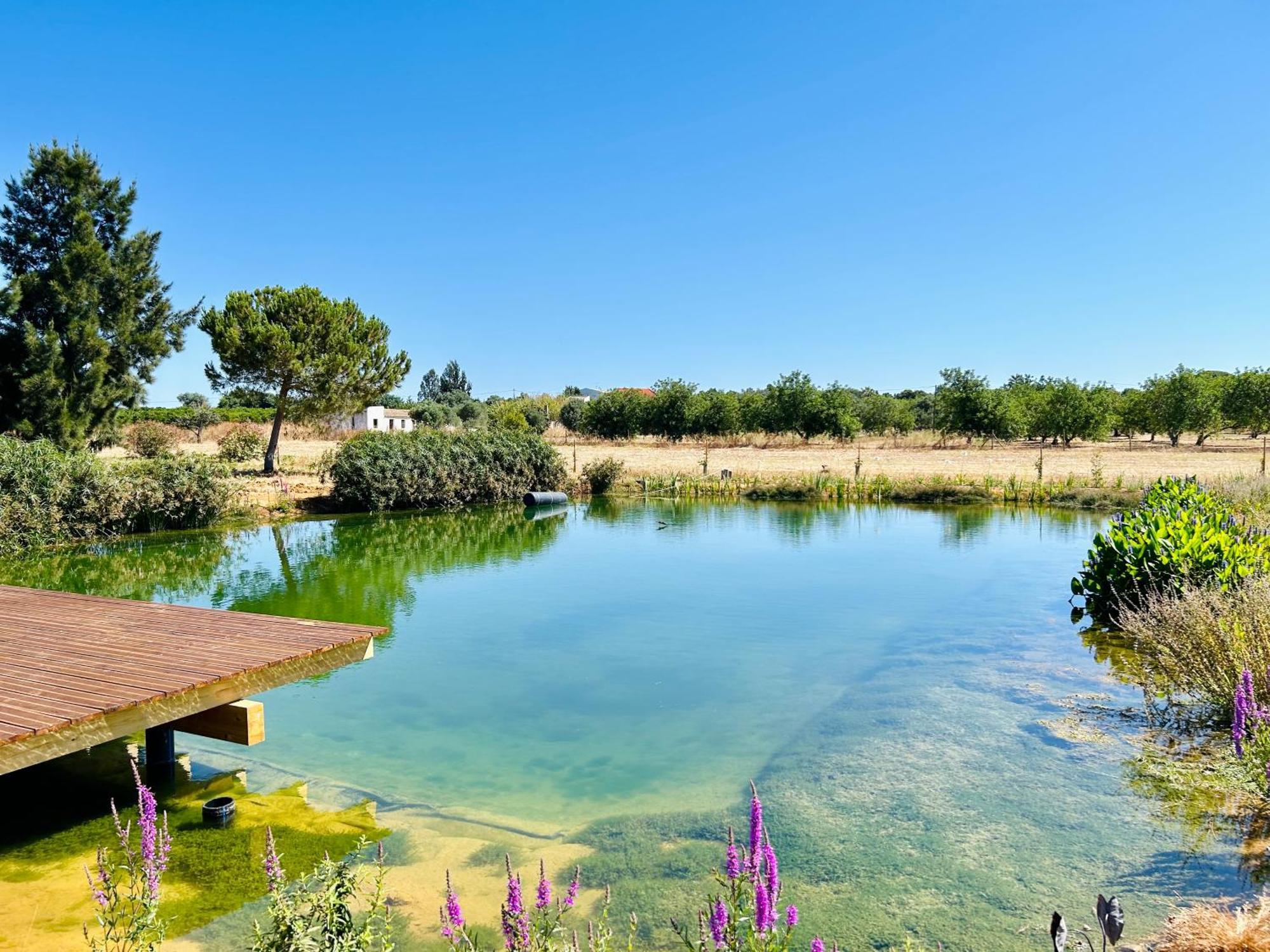 Glamping On Organic Yoga Farm With Natural Swimming Pool Near Beach モンカラパッショ エクステリア 写真